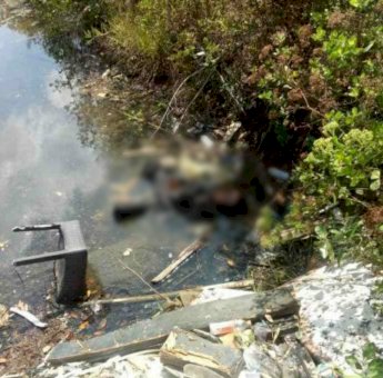 Seorang Warga Ditemukan tak Bernyawa di Hutan Bakau Teluk Kendari