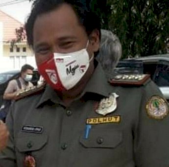 Soal Penebangan Pohon di Desa Sering, Polhut Soppeng: Ada Izinnya Tapi Kapasitas Belum Bisa Menebang