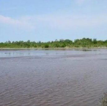 Dua Tahun Berturut-turut, Tambak Cilellang Milik Pemda Sinjai Tak menghasilkan PAD