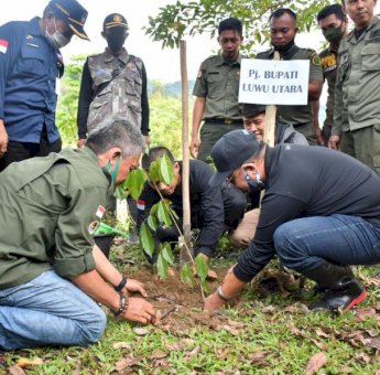 Iqbal Suhaeb Tanam Pohon di Bantaran Sungai Rongkong