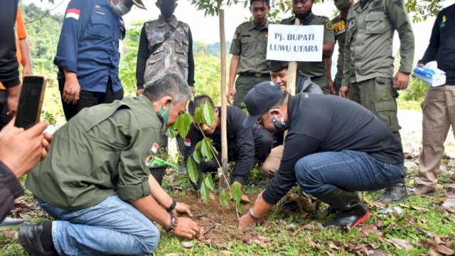 Iqbal Suhaeb Tanam Pohon di Bantaran Sungai Rongkong