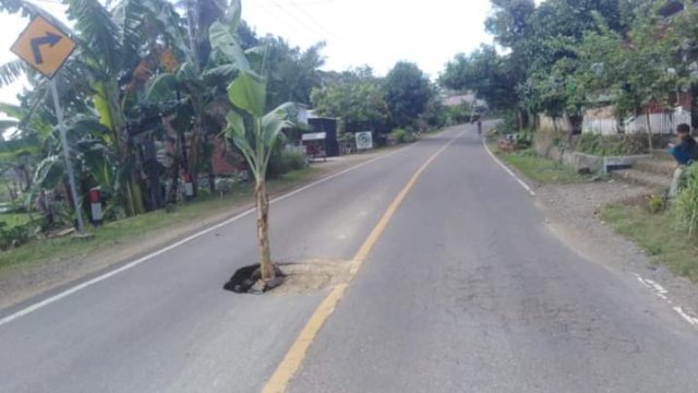 Warga Buareng Kabupaten Bone Tanam Pohon di Lubang Tengah Jalan
