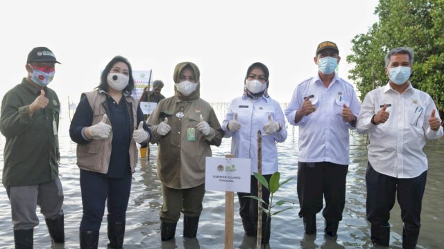 Sekda Sultra, Nur Endang Abbas (Keempat dari kanan) bersama Wakil Menteri Lingkungan Hidup dan Kehutanan RI saat melakukan penanaman Mangrov. Foto: istimewa