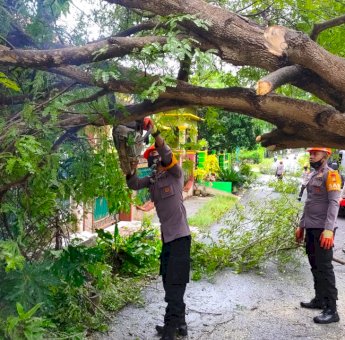 SAR Batalyon C Pelopor Brimob Sulsel Evakuasi Pohon Tumbang di Jalan Gunung Kinibalu Bone