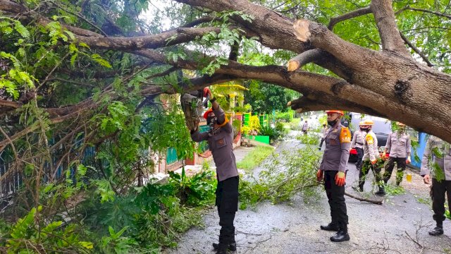 SAR Batalyon C Pelopor Brimob Sulsel Evakuasi Pohon Tumbang di Jalan Gunung Kinibalu Bone