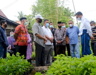 Pulang Kampung ke Soppeng, Gubernur Sulsel Kunjungi Lokasi Tanaman Murbei di Turungeng Lappae