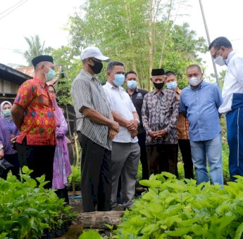 Pulang Kampung ke Soppeng, Gubernur Sulsel Kunjungi Lokasi Tanaman Murbei di Turungeng Lappae