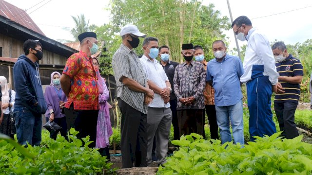 Pulang Kampung ke Soppeng, Gubernur Sulsel Kunjungi Lokasi Tanaman Murbei di Turungeng Lappae