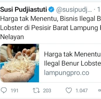 Sehari Sebelum Edhy Prabowo Ditangkap KPK, Susi Pudjiastuti Sempat Singgung Tentang Benur