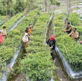 Serap Aspirasi Masyarakat, Pemda Lutra Sehari Berkantor di Rongkong