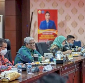 Ali Mazi Dorong Upaya dan Inovasi Tingkatkan Akses Keuangan Masyarakat di Sultra pada Rakornas TPKAD 2020