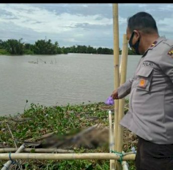 Mayat Laki-laki yang Ditemukan di Tepi Sungai Walanae Berhasil Diungkap, Ini Identitasnya
