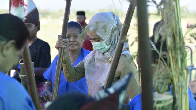 Bupati Luwu Utara Indah Putri Indriani ikut memukul lesung, saat menghadiri pesta panen di Desa Minanga Tallu. Senin (7/12/2020)