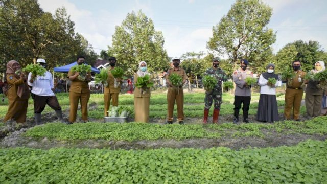 Kadis Ketahanan Pangan, Alauddin Sukri bersama Bupati Indah saat panen di Kebun Sayur Sehat, Agustus 2020 yang lalu.
