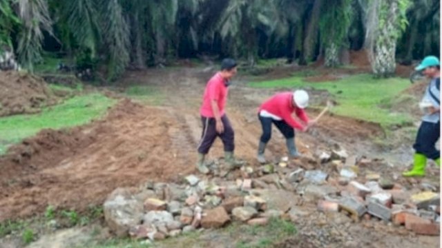 Bersama Karyawan, Manager PTPN IV Kebun Bandar Pasir Mandoge Lakukan Perbaikan Jalan Produksi