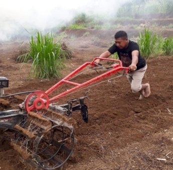 Sosok Anggota Polres Sinjai, Budidaya Porang Hingga Puluhan Hektar