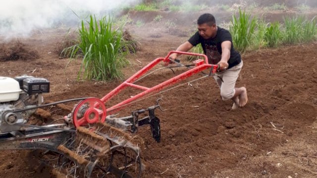 Sosok Anggota Polres Sinjai, Budidaya Porang Hingga Puluhan Hektar