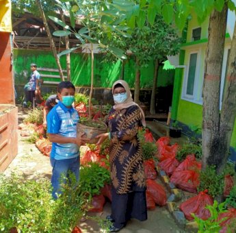 Gebrakan Awal Tahun, DLHK Palopo Datangkan 9.565 Bibit Pohon