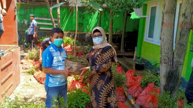 Pemerintah Kota (Pemkot) Palopo, Sulawesi Selatan (Sulsel), melalui Dinas Lingkungan Hidup dan Kebersihan (DLHK) Palopo mendatangakan 9.565 bibit pohon