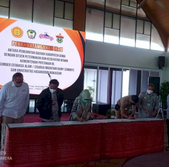 Kementan Gandeng PT Cimory Kembangkan Sapi Perah di Kabupaten Gowa