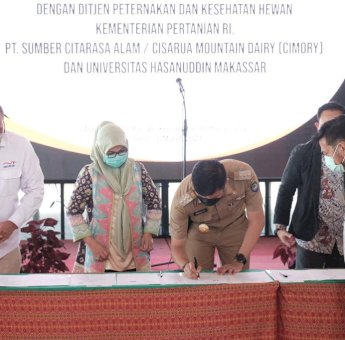 Dukung Pengembangan Peternakan Sapi Perah di Gowa, Unhas Siapkan Tenaga Ahli