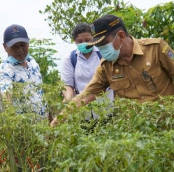 Panen Bersama Sekaligus Bantu Petani, Sektor Pertanian Tebing Tinggi Diharapkan Terus Produktif