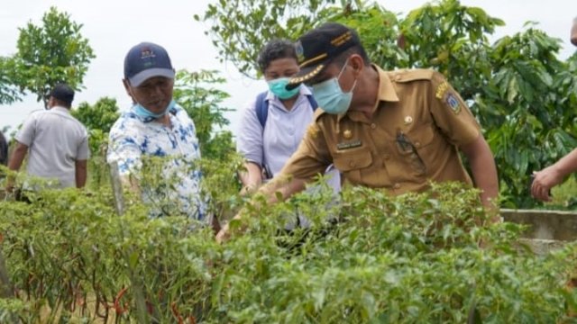Panen Bersama Sekaligus Bantu Petani, Sektor Pertanian Tebing Tinggi Diharapkan Terus Produktif