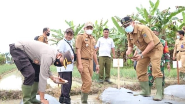 Lahan Semakin Sempit, Sekda Tebing Tinggi: Butuh Strategi Khusus Untuk Hadirkan Lahan Pertanian