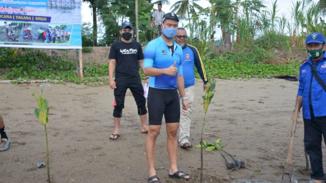 Bupati Sinjai Andi Seto Ghaditsa Asapa, menanam Pohon Mangrove saat Peringatan HUT Ke-17 Taruna Siaga Bencana, Selasa (30/03/2021).