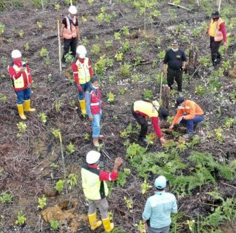 PT Vale Tanam 100 Bibit Tanaman HHBK Program Rehabilitasi DAS Kasintuwu