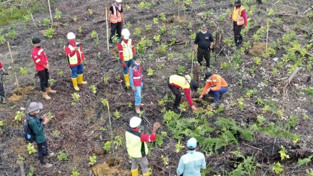 Penanaman berbagai bibit jenis tanaman Hasil Hutan Bukan Kayu (HHBK) rehabilitasi Daerah Aliran Sungai (DAS) di Desa Kasintuwu, Kecamatan Mangkutana, Kabupaten Luwu Timur, oleh PT Vale Indonesia, Jumat (09/04/2021).