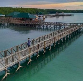 Destinasi Wisata Penyumbang PAD di Sinjai, Hutan Mangrove Tongke-tongke Terbesar