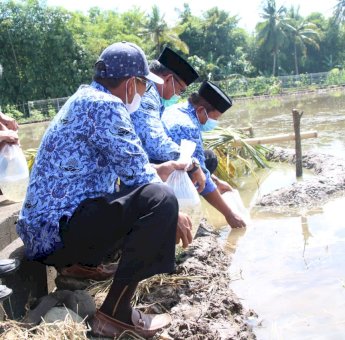 Kadis Pertanian Soppeng Sebut Program Asbatik yang Digagas BPP Akan Bernilai Ekonomi