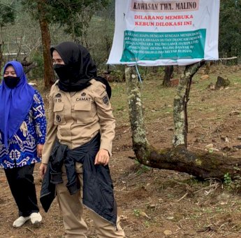 Pos 2 Bawakaraeng Dirambah Hingga 3 Hektare, Camat Tinggimoncong: Pelaku Masih Ditelusuri