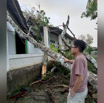 Dua Hari Diguyur Hujan Deras dan Angin Kencang: Bencana Banjir, Longsor Hingga Pohon Tumbang Terjadi di Sinjai