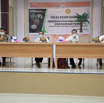 Perkuat Ketahanan Pangan, Pemerintah Dorong Ekstensifikasi Sagu di Luwu Utara