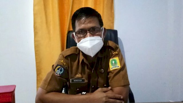 Kepala Dinas Perpustakaan dan Kearsipan Kabupaten Sinjai, Mansur.