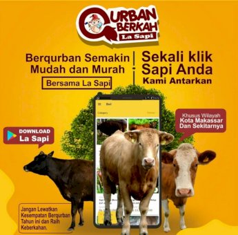 Mau Beli Sapi Qurban Dengan Mudah? Download Aplikasi La Sapi