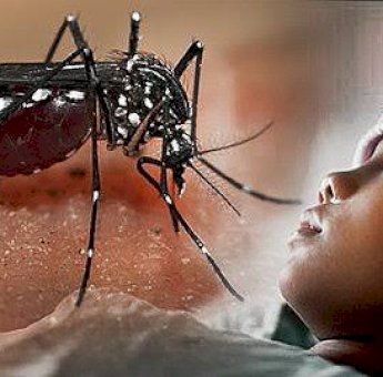 Waspada DBD Musim Penghujan, Dinkes Luwu Timur Imbau Warga Terapkan 4M Plus