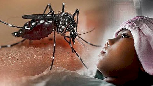 Waspada Bahaya Demam Berdarah Dengue.