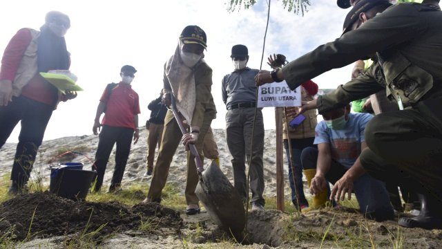 Bupati Luwu Utara Indah Putri Indriani saat menanam pohon di Bantaran Sungai Masamba. Selasa (13/07/2021)