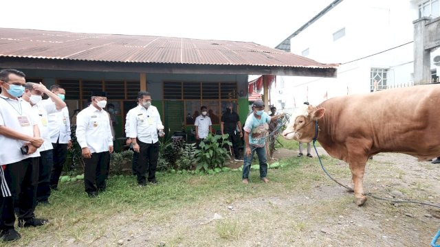 Mentan SYL Serahkan Sapi Kurban ke Pemkab Gowa, Begini Beratnya