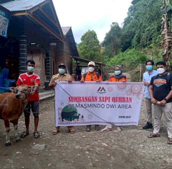 Idul Adha Masmindo Kurban 7 Ekor Sapi di Kecamatan Latimojong
