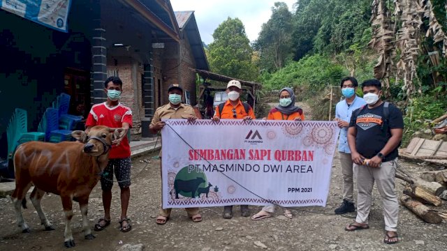 Idul Adha Masmindo Kurban 7 Ekor Sapi di Kecamatan Latimojong