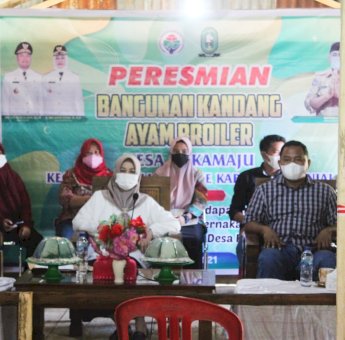 Resmikan Kandang Ayam Broiler, Wabup Sinjai Puji Inovasi Kades Sukamaju