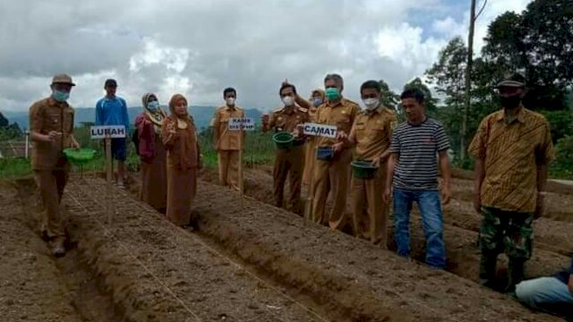 Dinas Tanaman Pangan, Holtikultura dan Perkebunan Kabupaten Sinjai melakukan Penanaman Perdana Bawang Merah Varietas Super Philips di Kelurahan Balakia, kecamatan Sinjai Barat, Senin (09/08/2021).