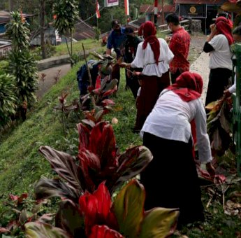 Kecamatan Tinggimoncong Sambut Perayaan HUT Kemerdekaan Dengan Menanam Bunga Siri Merah