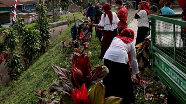 Kecamatan Tinggimoncong Sambut Perayaan HUT Kemerdekaan Dengan Menanam Bunga Siri Merah