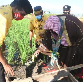 Penasehat Duta Besar Arab Saudi Bangun Masjid di Wisata Alam Labempa Soppeng