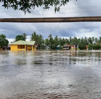 Soppeng Berduka, Hampir 100 Hektar Tanaman Padi Siap Panen Terendam Banjir